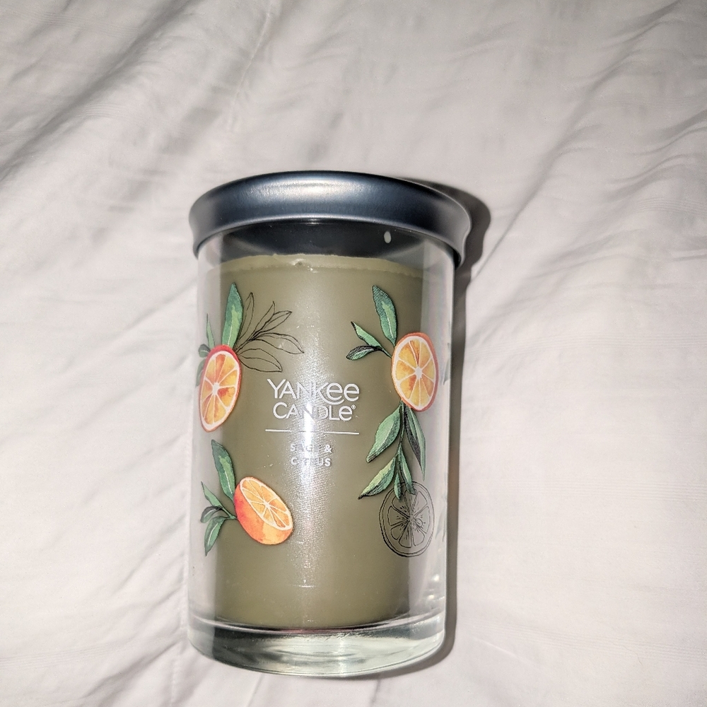 YANKEE CANDLE (20oz)